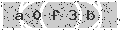 verify code