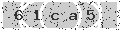 verify code